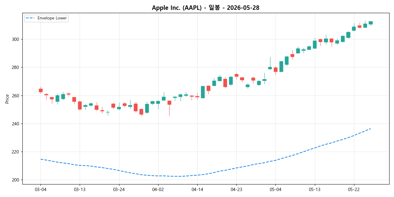 Apple Inc. 일봉 차트