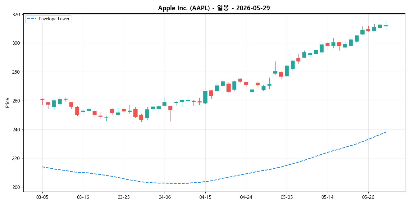 Apple Inc. 일봉 차트