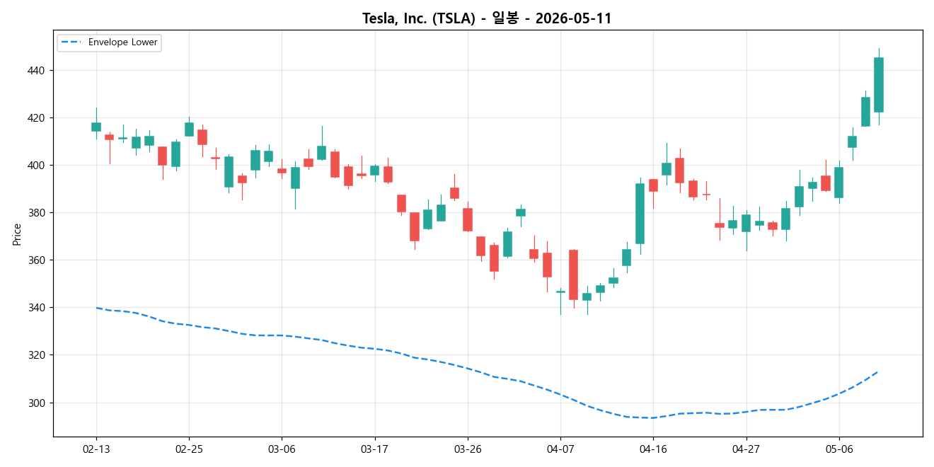 Tesla, Inc. 일봉 차트