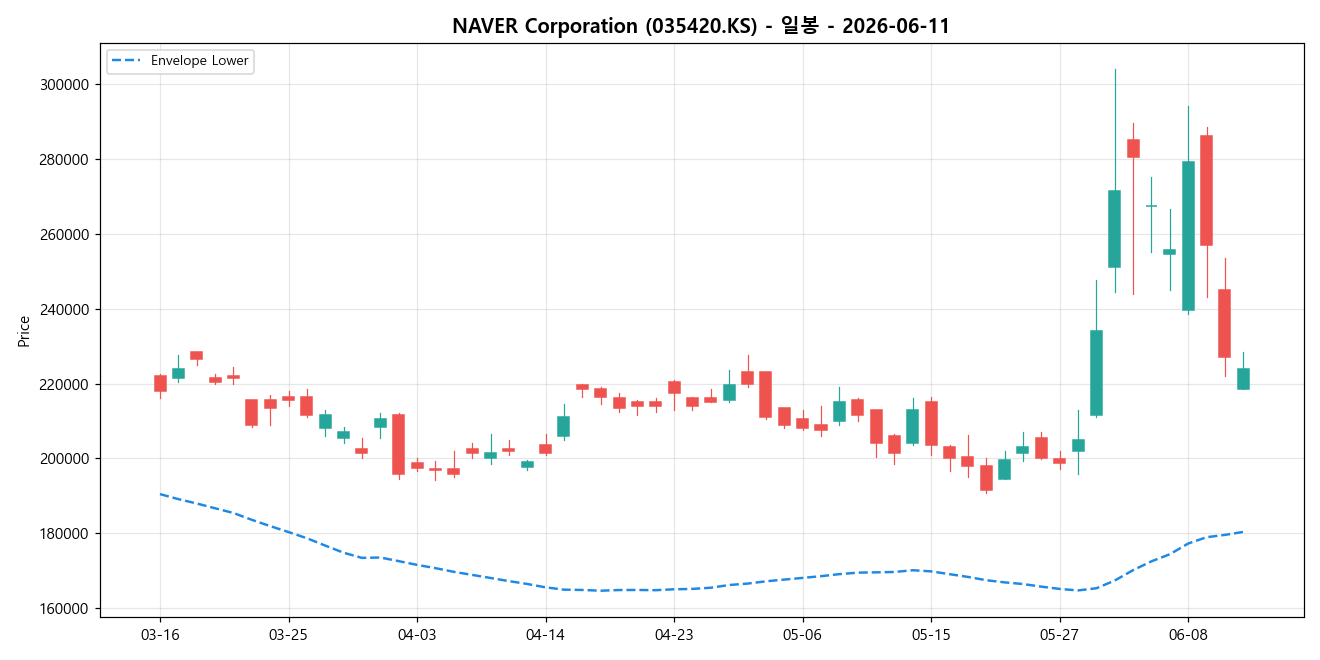 NAVER Corporation 일봉 차트