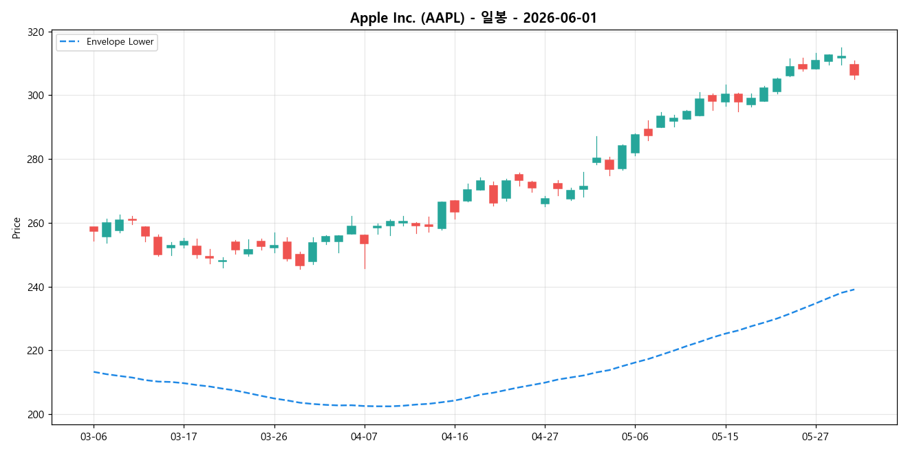 Apple Inc. 일봉 차트