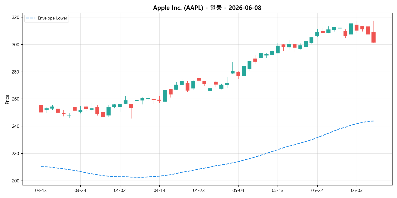 Apple Inc. 일봉 차트