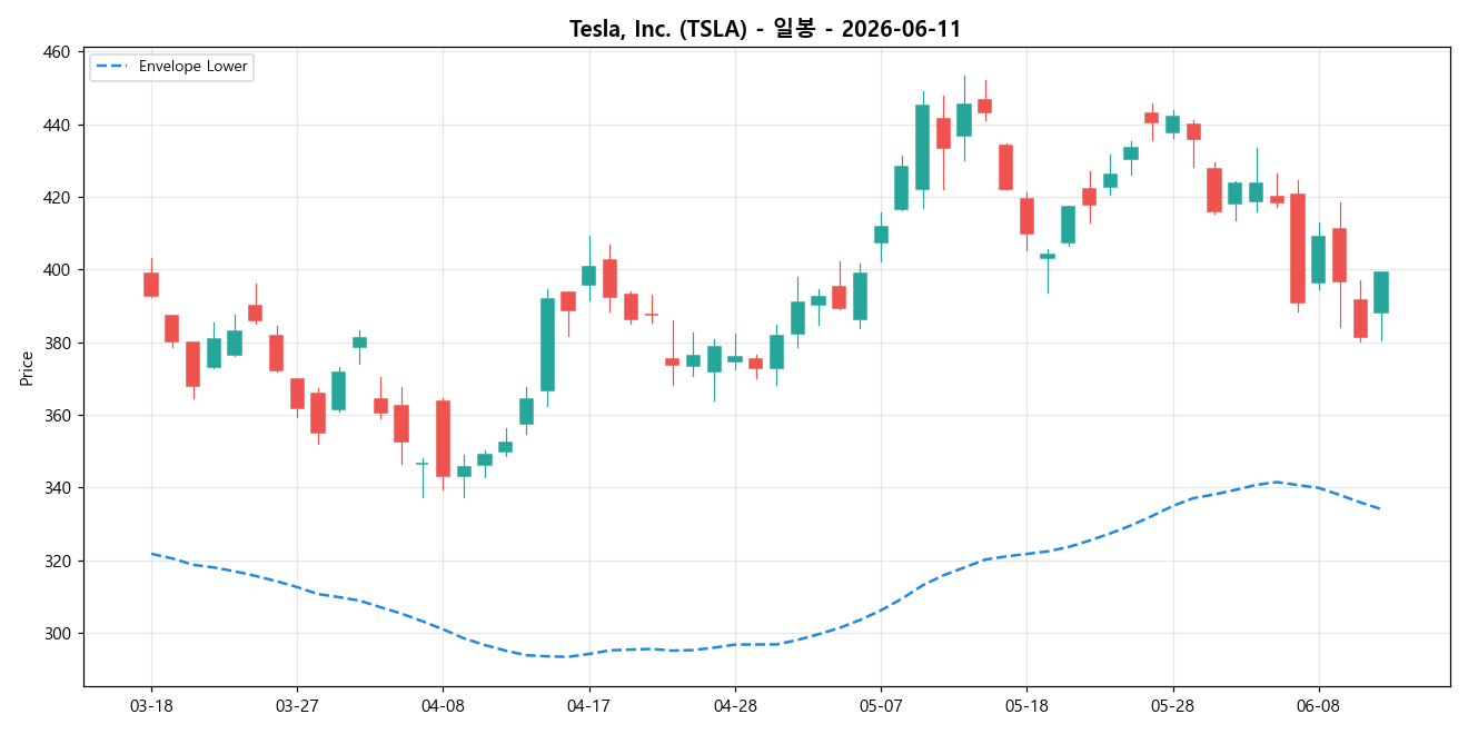 Tesla, Inc. 일봉 차트