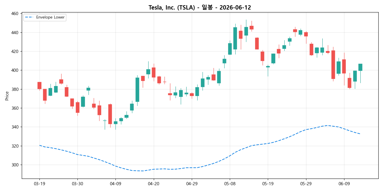 Tesla, Inc. 일봉 차트