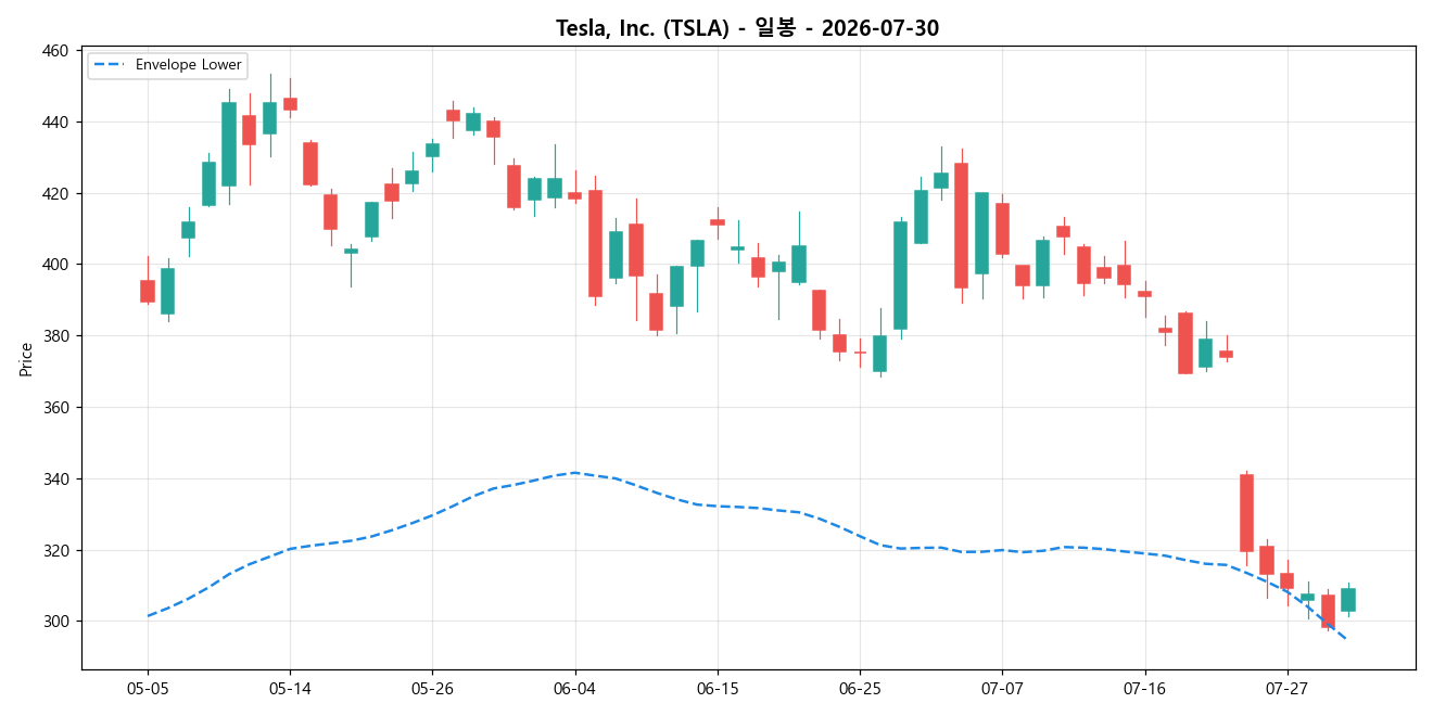 Tesla, Inc. 일봉 차트