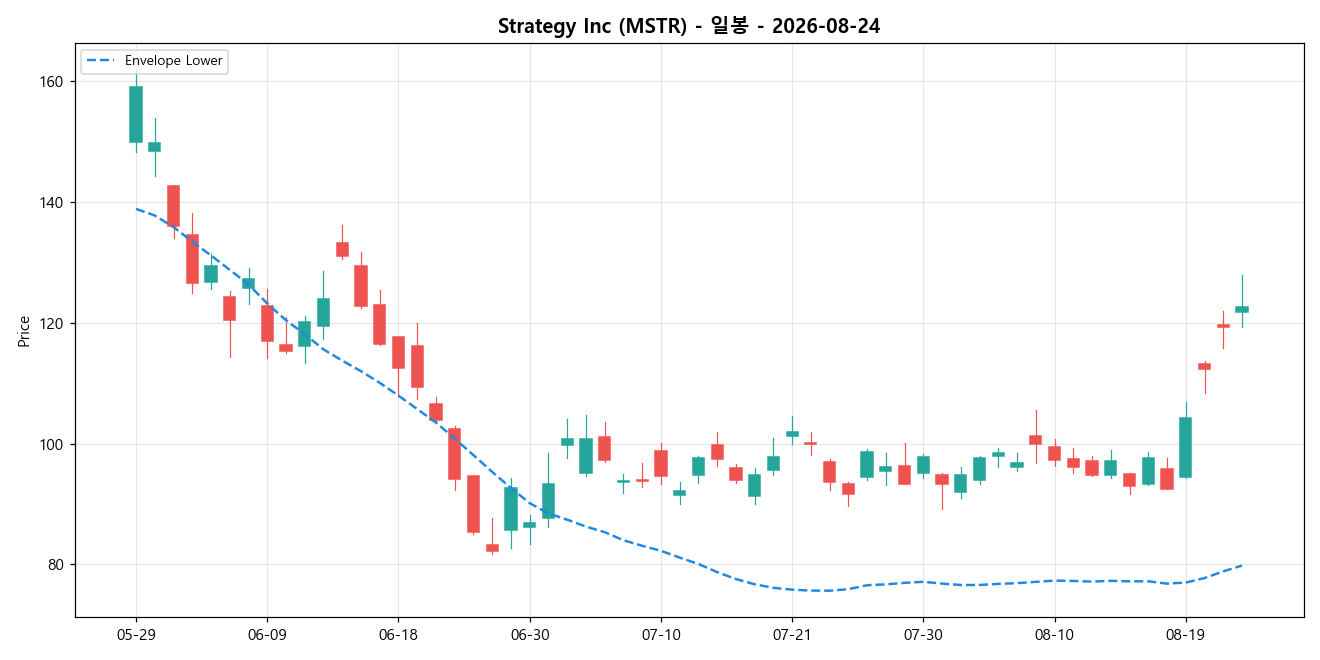 Strategy Inc 일봉 차트