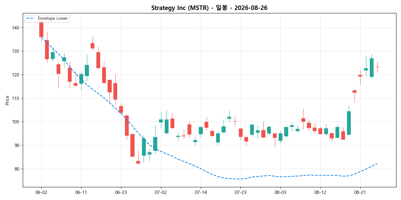 Strategy Inc 일봉 차트
