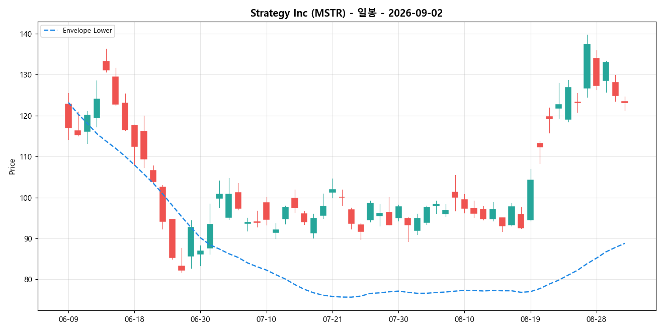 Strategy Inc 일봉 차트
