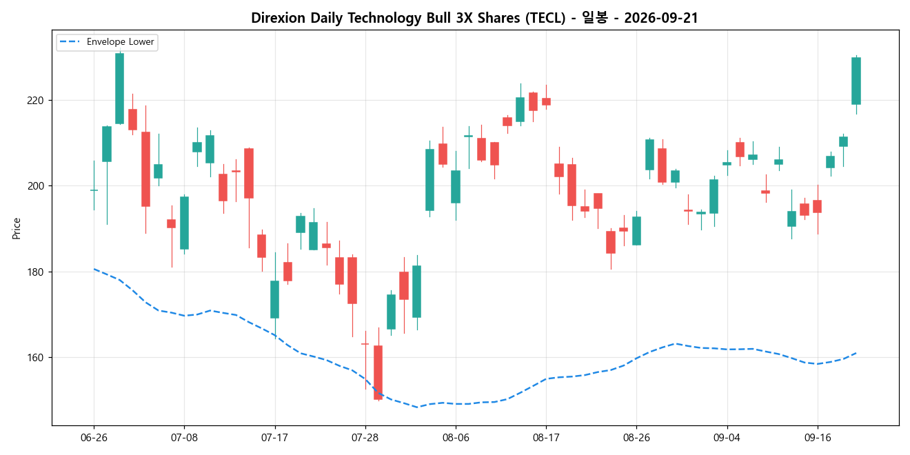 Direxion Daily Technology Bull 3X Shares 일봉 차트