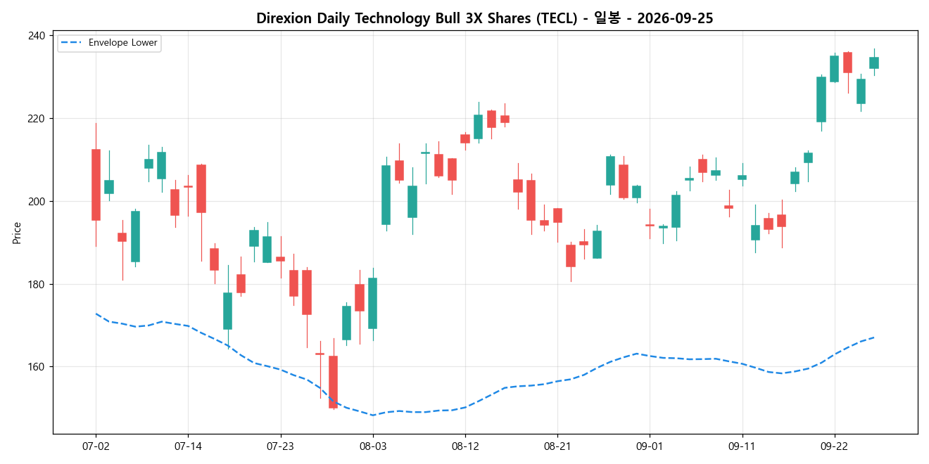 Direxion Daily Technology Bull 3X Shares 일봉 차트