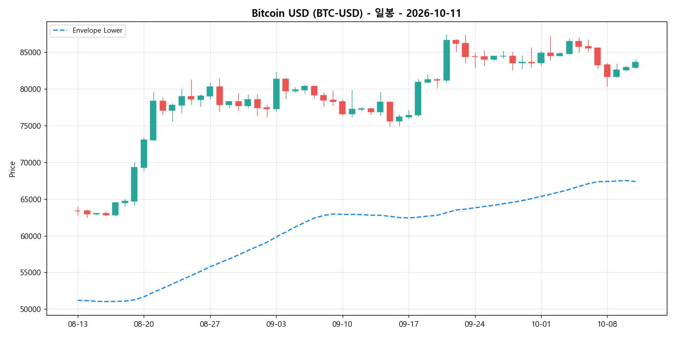 Bitcoin USD 일봉 차트