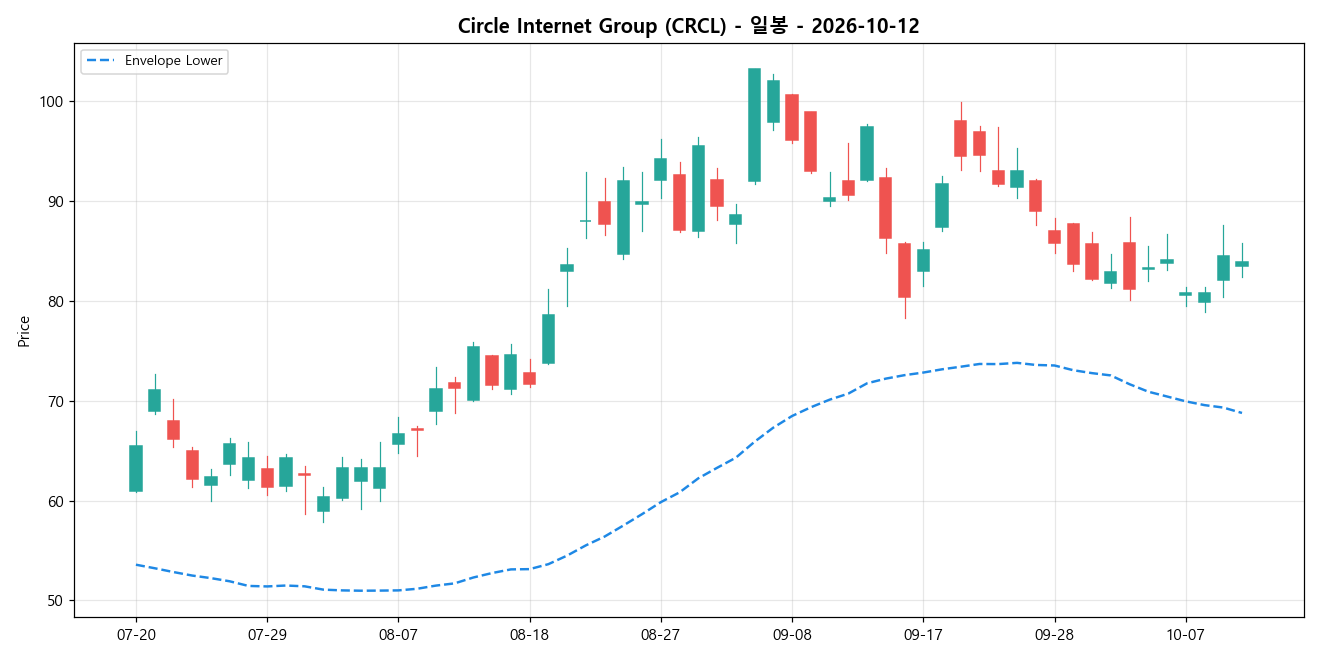 Circle Internet Group 일봉 차트