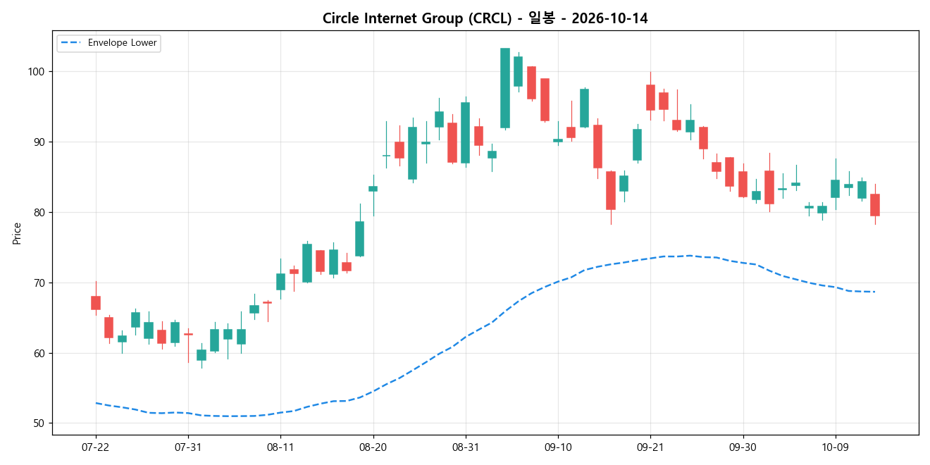 Circle Internet Group 일봉 차트