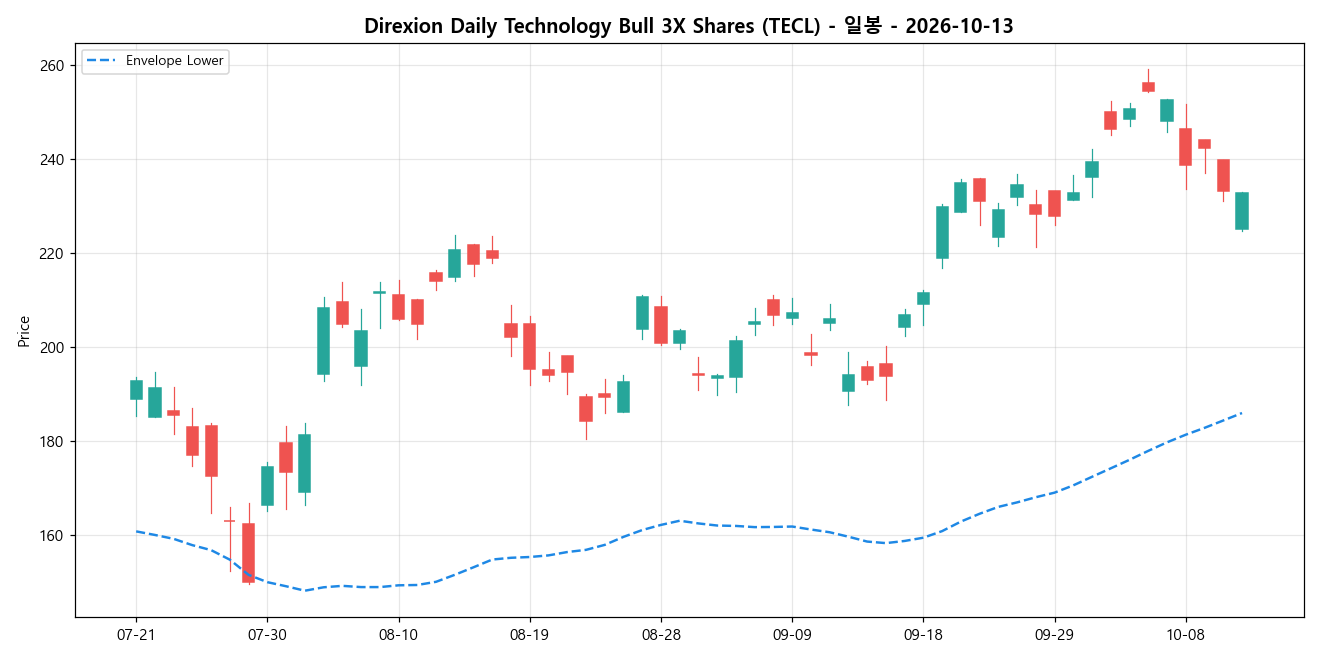 Direxion Daily Technology Bull 3X Shares 일봉 차트