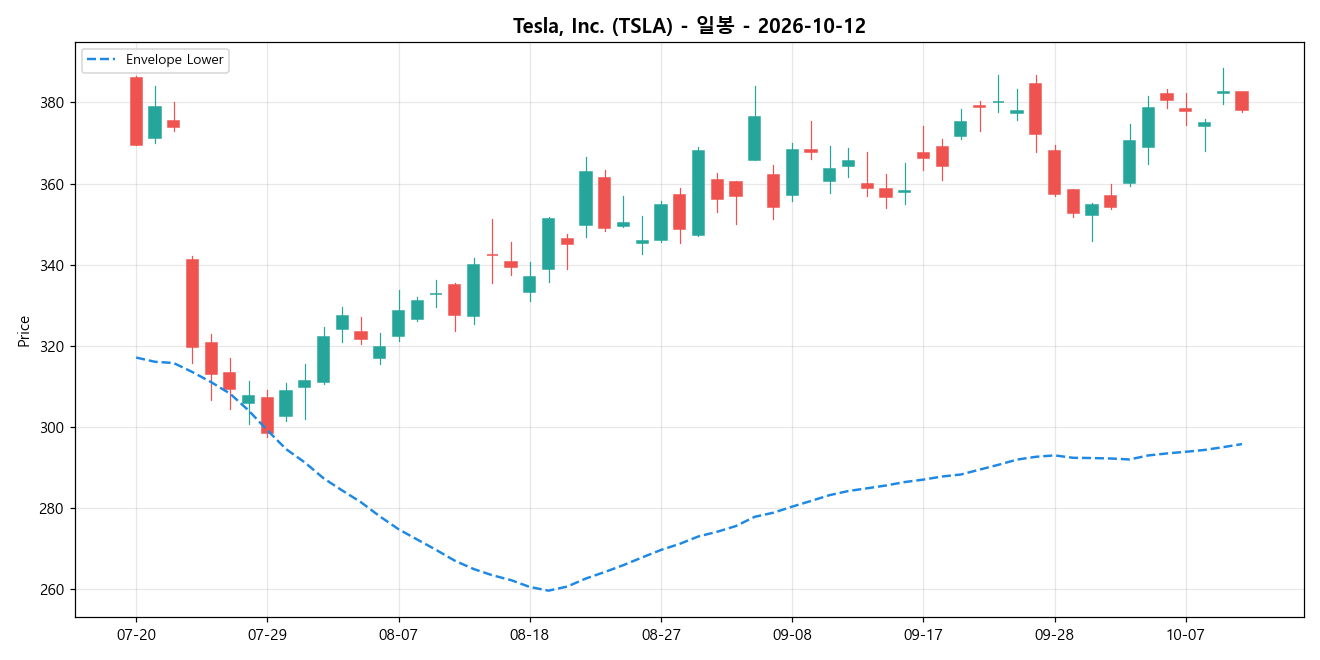Tesla, Inc. 일봉 차트