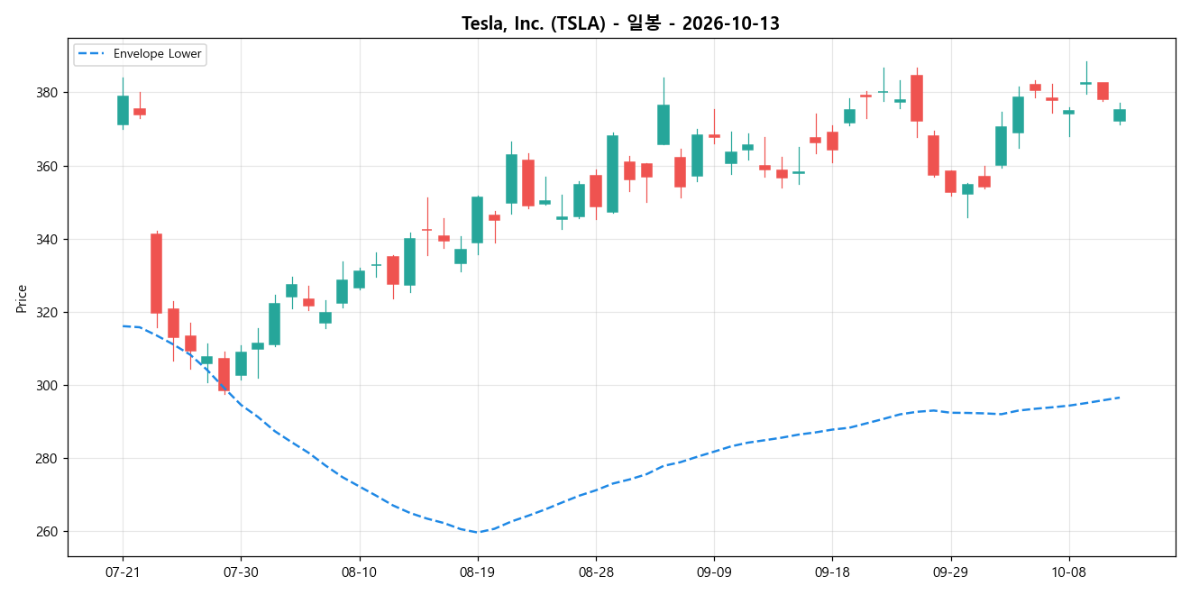 Tesla, Inc. 일봉 차트